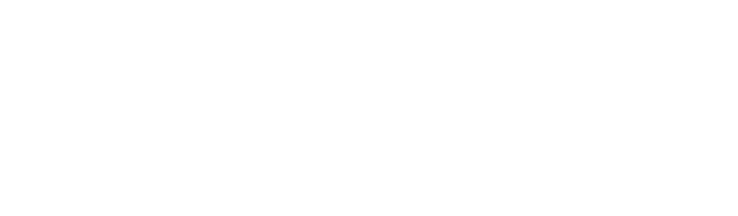 TWINCITIES LOYAL HOLISTIC CARE